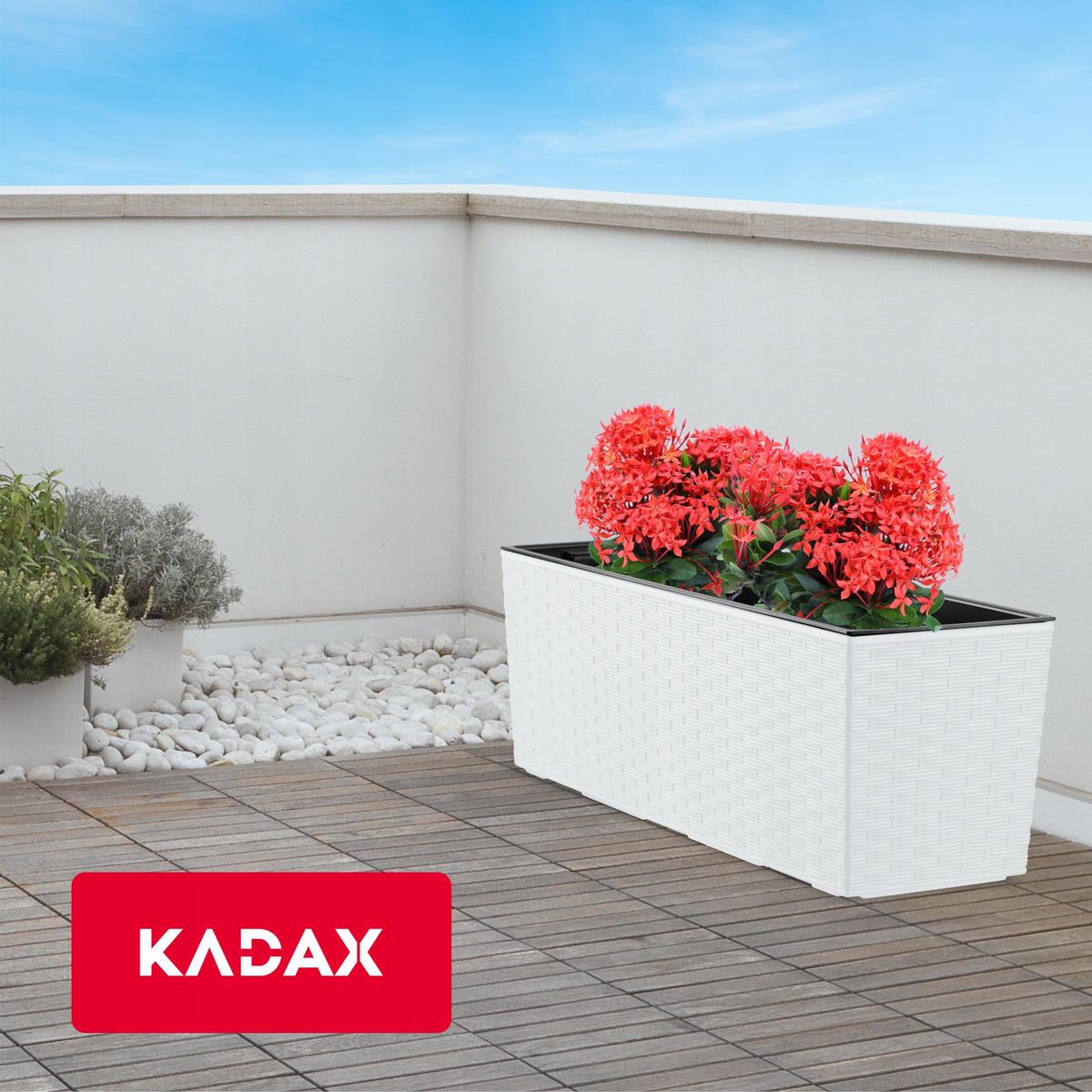 BLUMENKASTEN mit Einsatz 56 cm, Weiß - Weiß, Kunststoff - KADAX