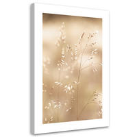 WANDBILD trockenes gras auf beigem hintergrund - Beige, Textil (40/60cm) - Feeby