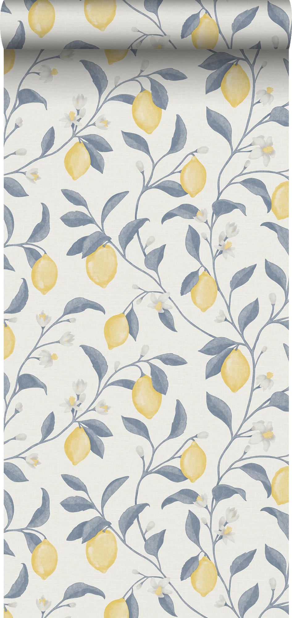 TAPETE Obst 53 cm x 10 m - Blau, Papier (53/1000cm) - Sanders & Sanders