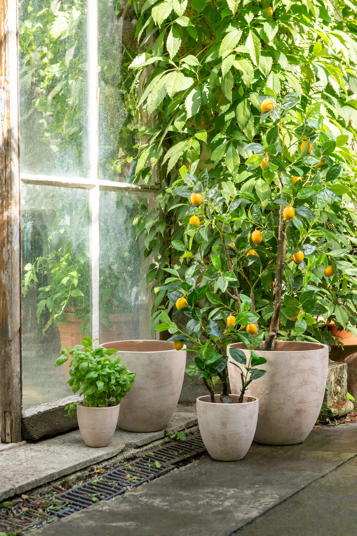 BLUMENTOPF RUND Beige - Beige, Keramik (36/34cm) - J-Line