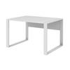 SCHREIBTISCH - 120x80cm - Weiß - Weiß, Holzwerkstoff (80/120/74cm)