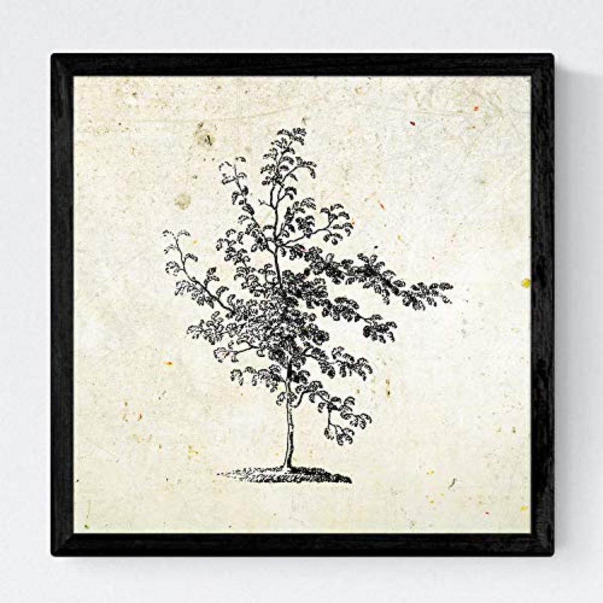 POSTER Set mit 4 Blättern der Grove Jahrgang Hintergrund 30x30 cm Rahmenlos - Klar, Papier (30/3cm) - Nacnic