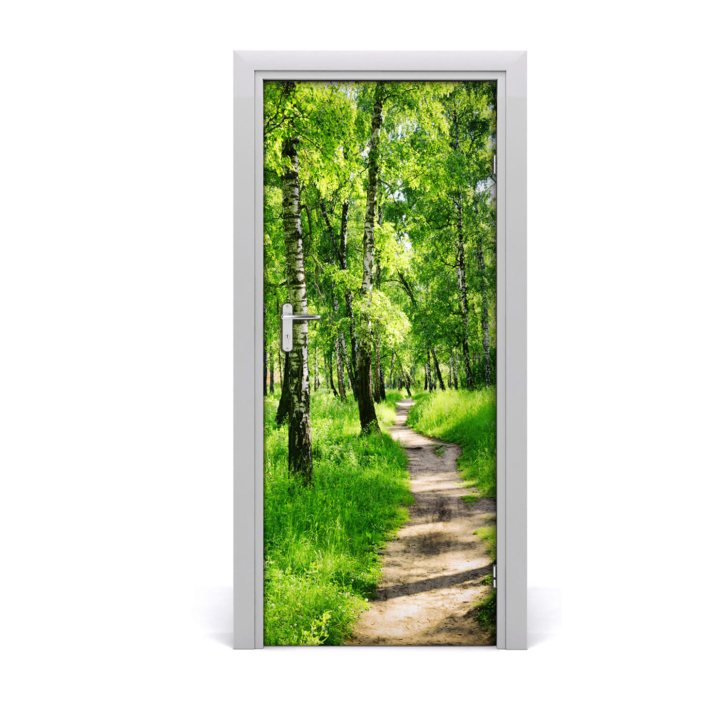 TÜRAUFKLEBER 85x205 cm Dekorativ für Türen - Grün, Kunststoff (85/205/0.01cm) - TULUP