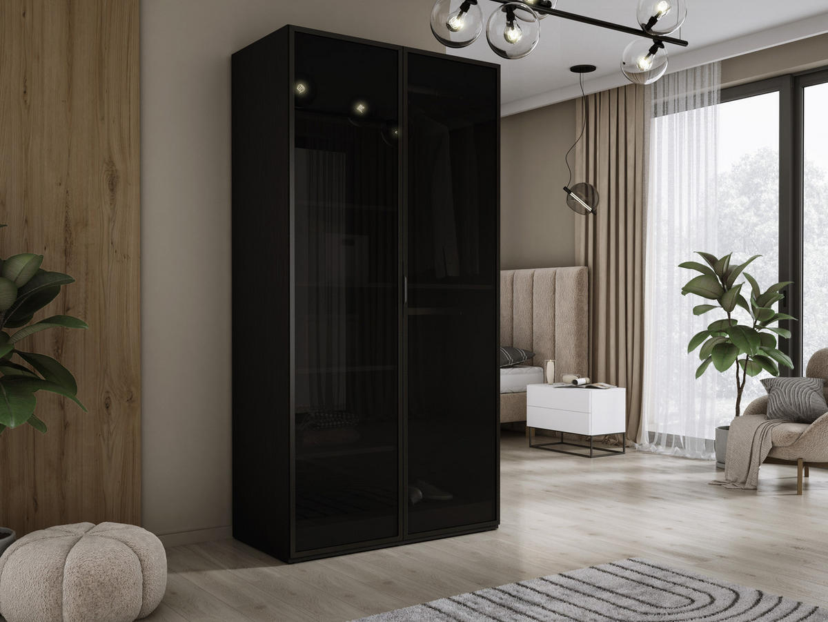 KLEIDERSCHRANK, Graphitschwarz / Antisol Glas, 100 x 200 x 51 cm - Graphitfarben/Schwarz, Holzwerkstoff (100/200/51cm) - 3XE LIVING