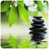 BADEMATTE Harmony - Grün, Kunststoff (53/53cm) - Sanilo