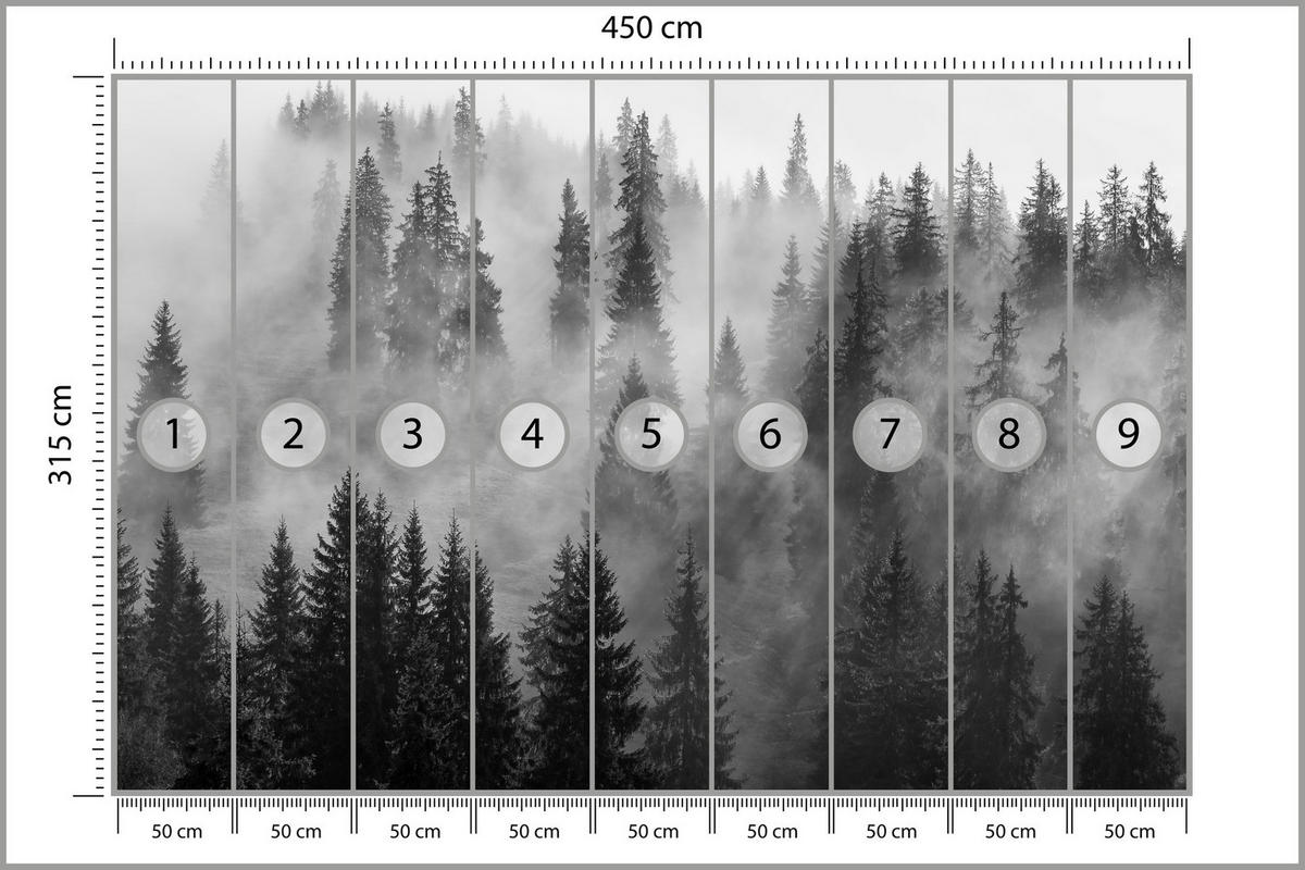 FOTOTAPETA Čierno-biely Les V Hmle Príroda 450 x 315 cm - čierna/sivá, papier (450/315cm) - Muralo