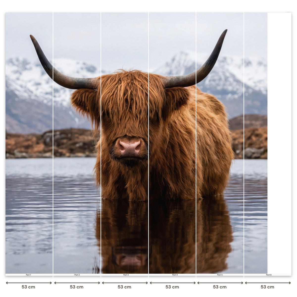TAPETE - Schottischer Hochländer - Braun - Wasser - 280x280 cm - Braun, Papier (280/280cm) - OnlyWow