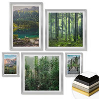 WANDBILDER 5er Set - 50x50 cm & 20x30 cm & 40x60 cm Silberner Rahmen - Minimalistische Pflanzenzeichnungen - Silberfarben, Kunststoff (40/60cm) - ArtPrintCave