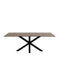 ESSTISCH - Keramik - Kastanie - Braun, Keramik (200/100/76cm) - Drawer