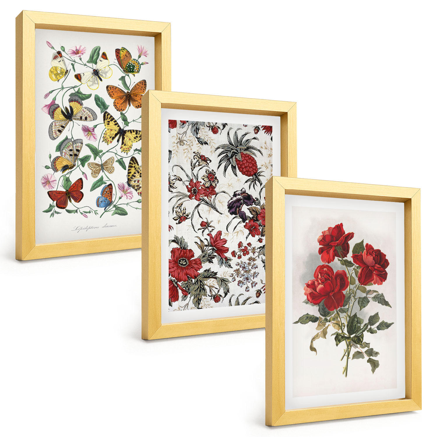 BILDER SET 3er Set - 20x30 cm Goldrahmen - Schmetterlinge, Blumen, rote Rosen - Goldfarben, Kunststoff (20/30cm) - TULUP