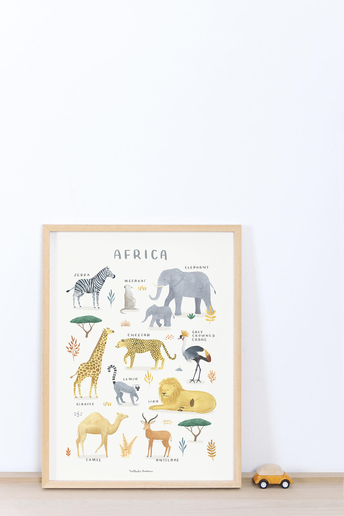 POSTER Tiere aus Afrika, 30x40 cm - Multicolor, Papier (30/1/40cm) - Lilipinso