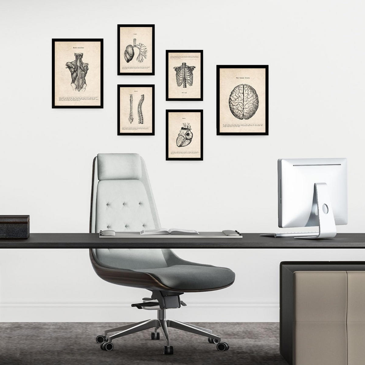 POSTER Set Mit 6 Anatomie Gehirn, Muskeln, Knochen Größe A3 & A4 Schwarzer Rahmen - Schwarz, Papier (29.7/1cm) - Nacnic