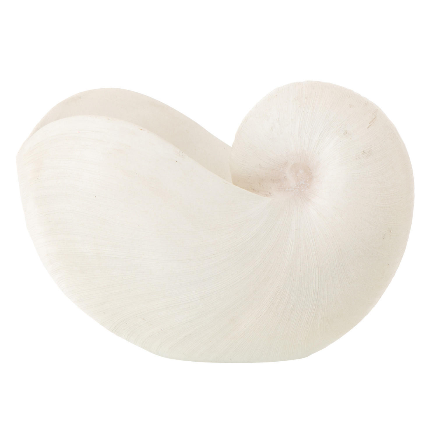DEKO MUSCHEL Weiß - Weiß, Glas/Naturmaterialien (16.5/21.5/31cm) - J-Line