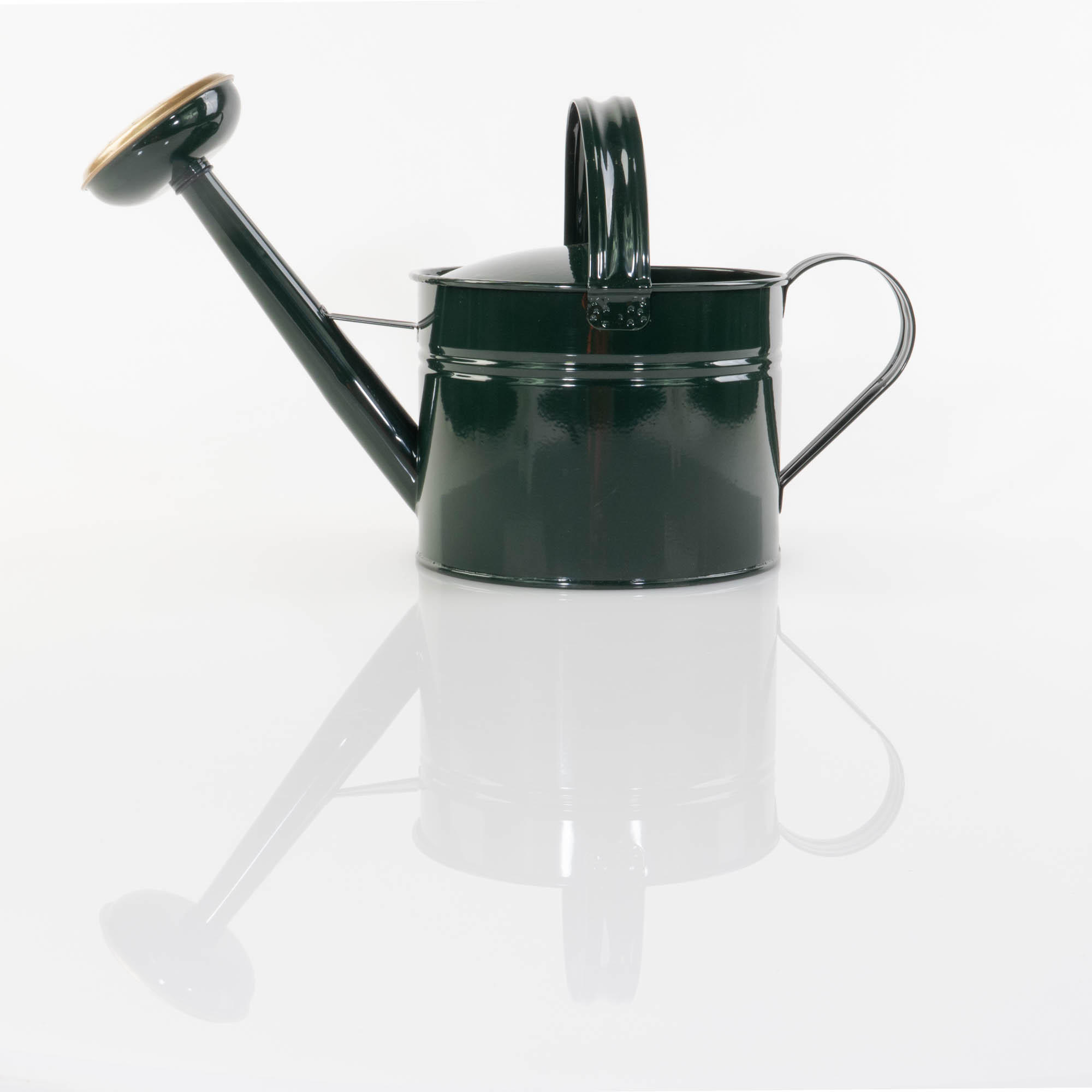 GIESSKANNE Gisela 5 l - Grün, Metall (20/26/46cm)