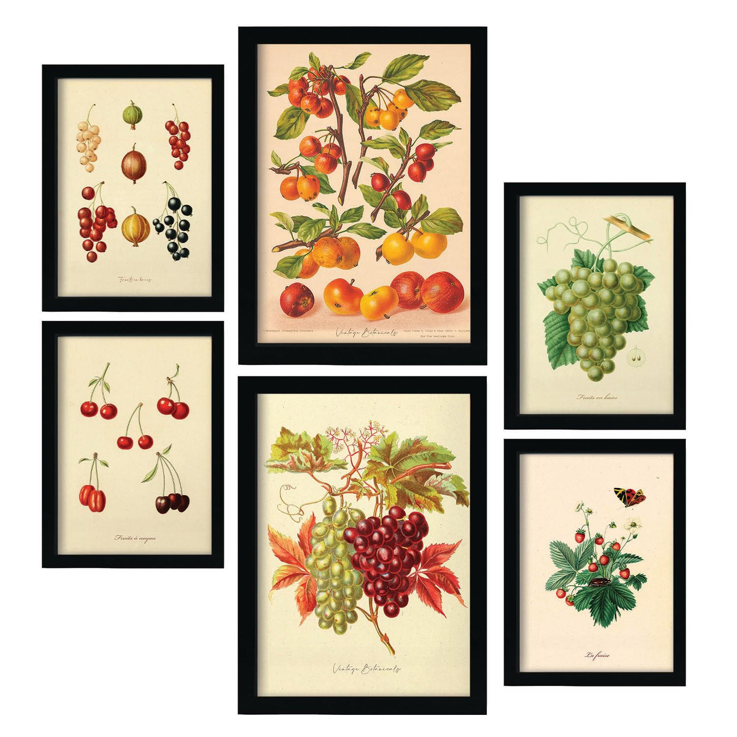 POSTER Set Mit 6 Beeren In Vintage A3 & A4 Rahmenlos - Klar, Papier (29/3cm) - Nacnic