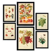 POSTER Set Mit 6 Beeren In Vintage A3 & A4 Rahmenlos - Klar, Papier (29/3cm) - Nacnic
