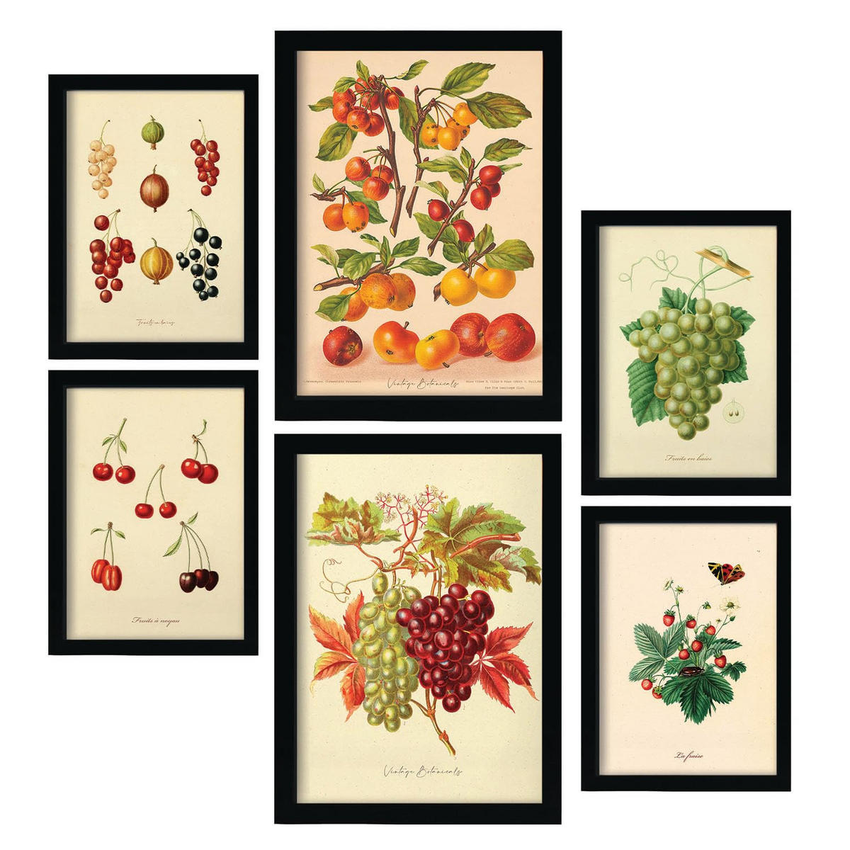 POSTER Set Mit 6 Beeren In Vintage A3 & A4 Rahmenlos - Klar, Papier (29/3cm) - Nacnic