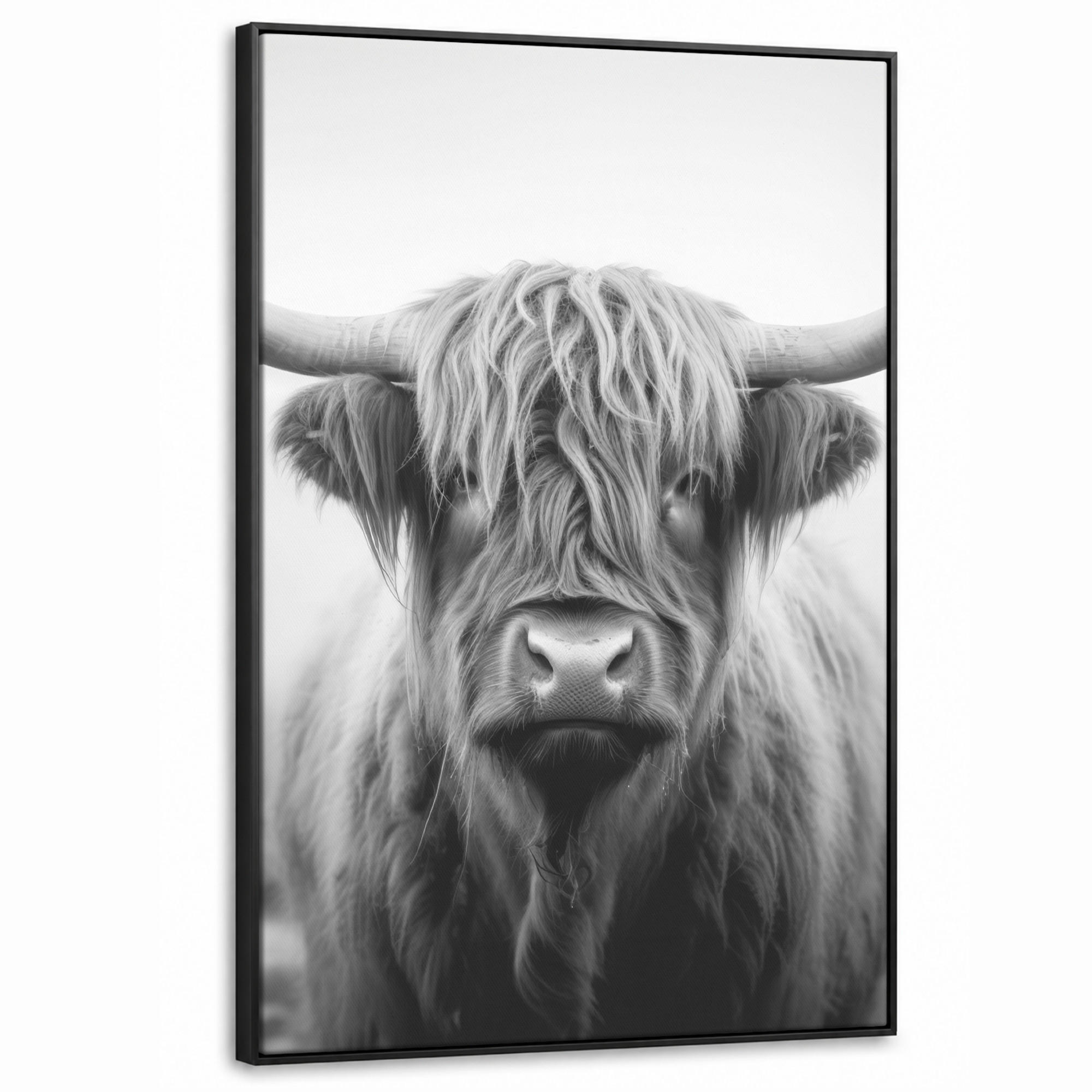 LEINWAND Bilder mit Rahmen - Schottischer Highlander - Nebel - Schwarz - Weiß - 80x120 - Grau, Textil (80/120cm) - MuchoWow