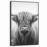 LEINWAND Bilder mit Rahmen - Schottischer Highlander - Nebel - Schwarz - Weiß - 80x120 - Grau, Textil (80/120cm) - MuchoWow