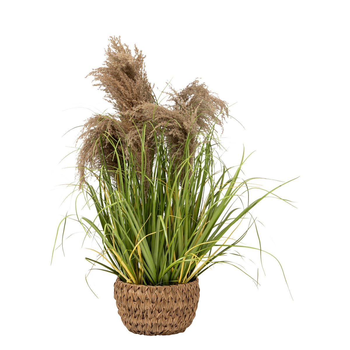 KÜNSTLICHES GRAS Maxime 80 cm - Grün, Kunststoff (80cm) - Atmosphera Createur d´interieur