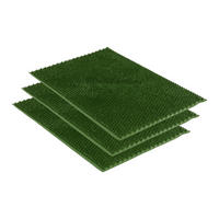 FUSSMATTE FÜR AUßEN ZOE 3ER SET - Grün, Textil (40/60cm) - Astra