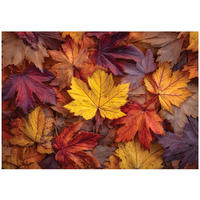 FOTOTAPETE Blätter Natur Bunt 150x105 cm - Multicolor, Papier (150/105cm) - Wallarena