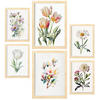 POSTER Set Mit 6 Pastellblume Größe A3 & A4 Rahmen aus hellem Holz - Beige, Papier (29.7/1cm) - Nacnic