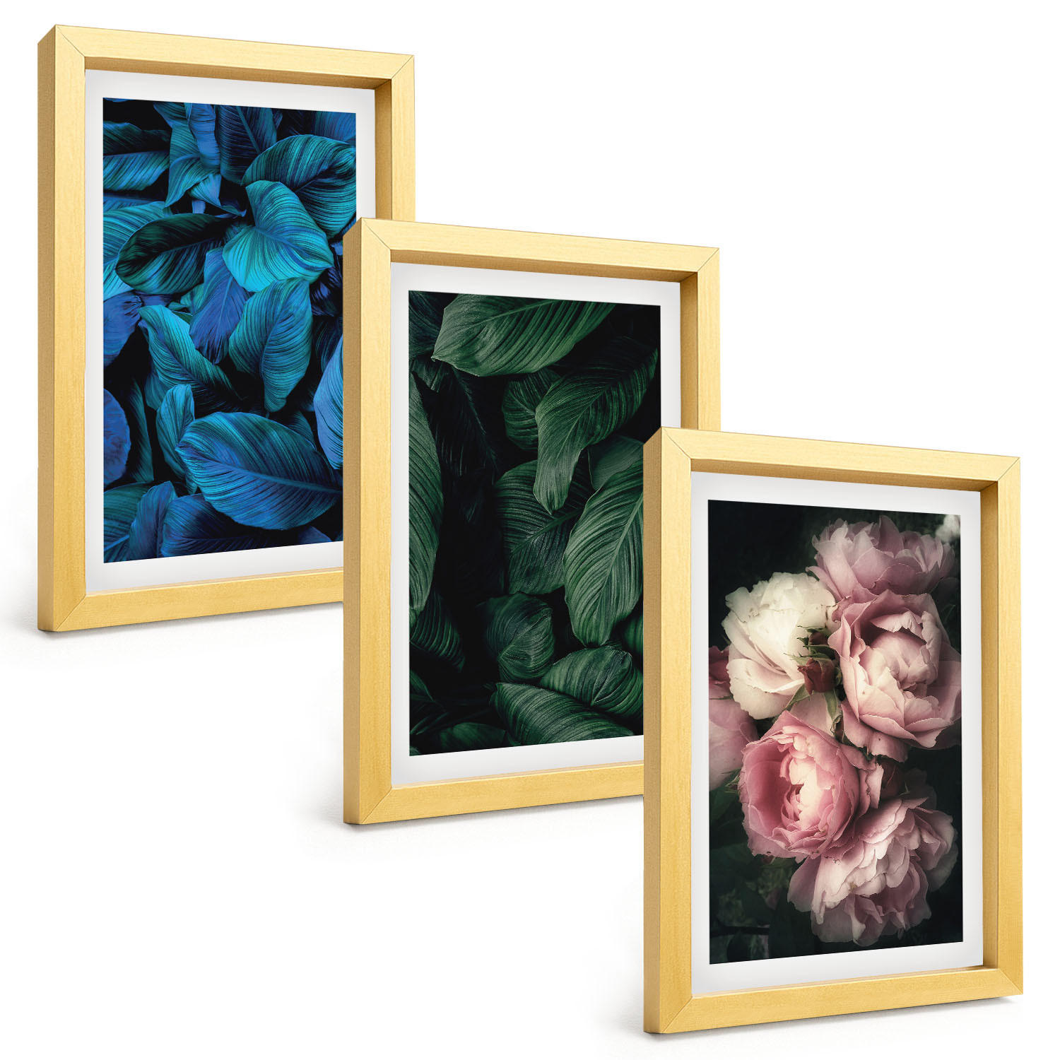 BILDER SET 3er Set - 20x30 cm Goldrahmen - Blätter, Blüten, verschiedene Farben - Goldfarben, Kunststoff (20/30cm) - TULUP