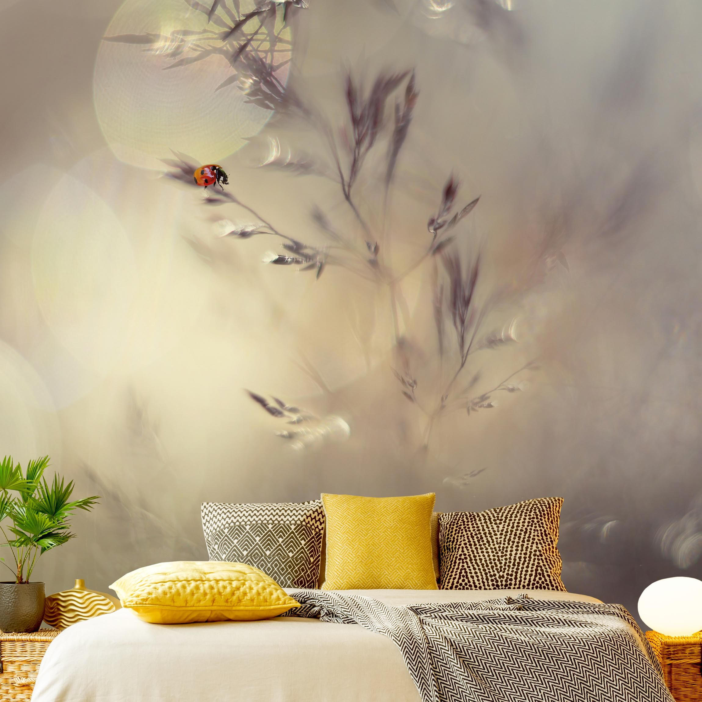 FOTOTAPETE Marienkäfer auf Wiesengras 240/240 cm - Eichefarben, Papier (240/240cm) - Bilderwelten