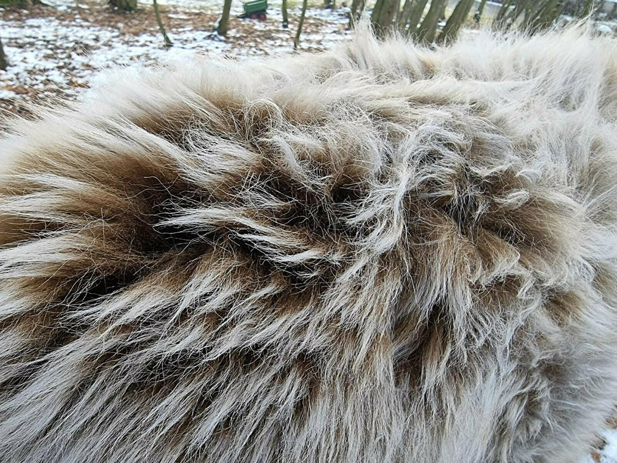 FELL Öko Schaffell Lammfell Ice Brown ca. cm - Braun, Fell (85/135cm) - Provellus