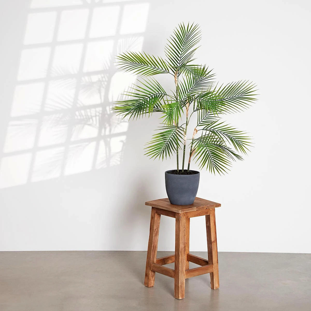 PALMEN Künstliche Bergpalme - Nolte 100 cm - Grün, Kunststoff (100cm) - aplanta
