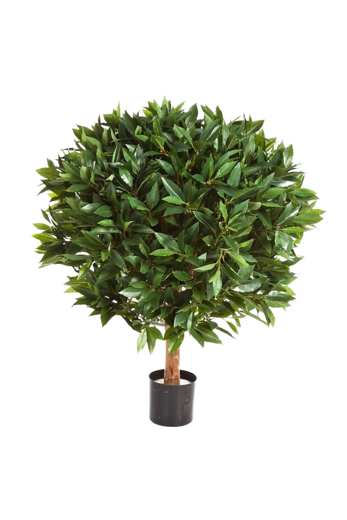 KUNSTBAUM Künstlicher Lorbeer - Rosa 55 cm - Grün, Kunststoff (55cm) - aplanta