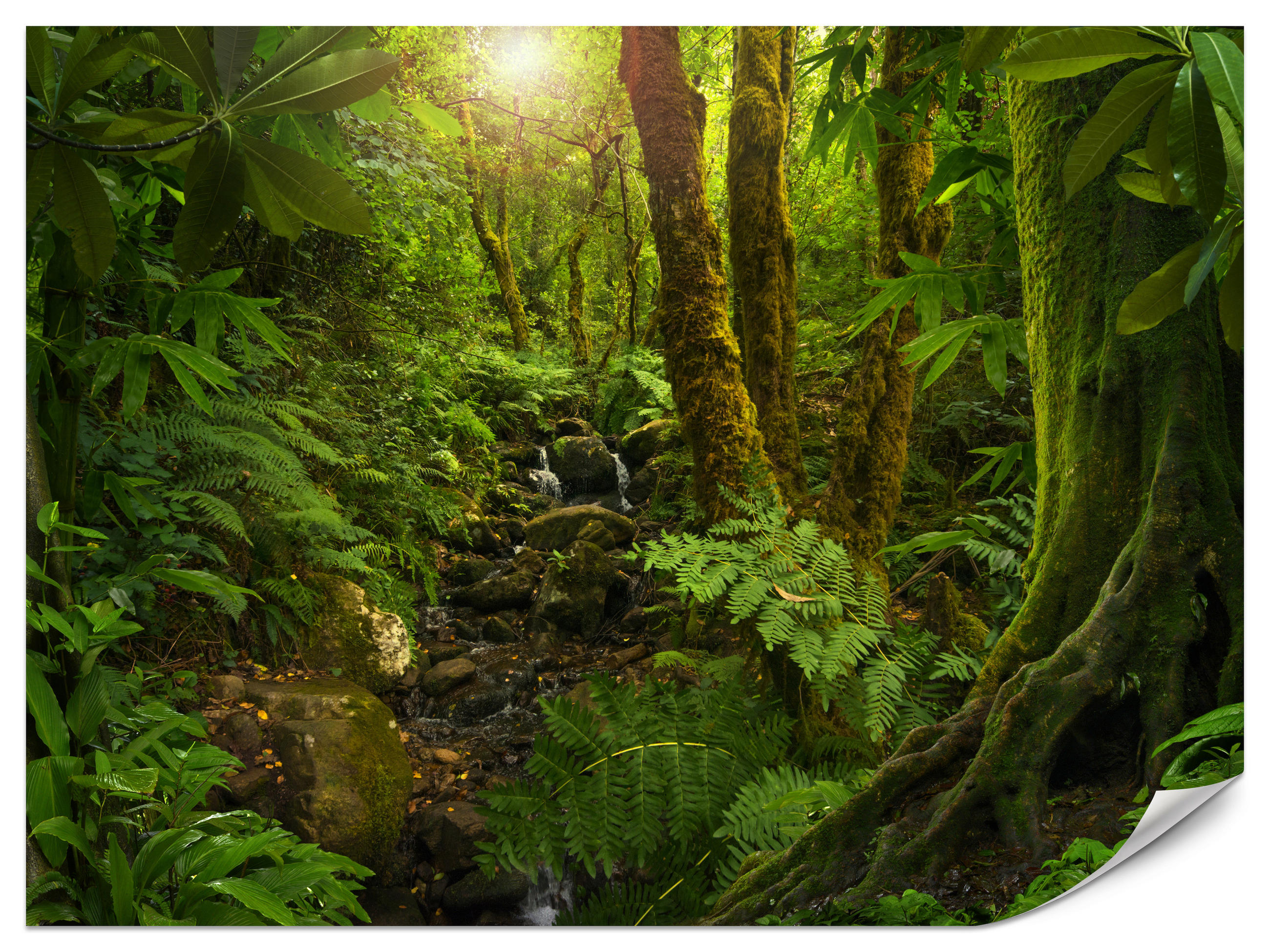 FOTOTAPETE für Wohnzimmer Wilder Dschungel Exotische Bäume Blätter 450x315 - Gelb/Braun, Papier (450/315cm) - Muralo