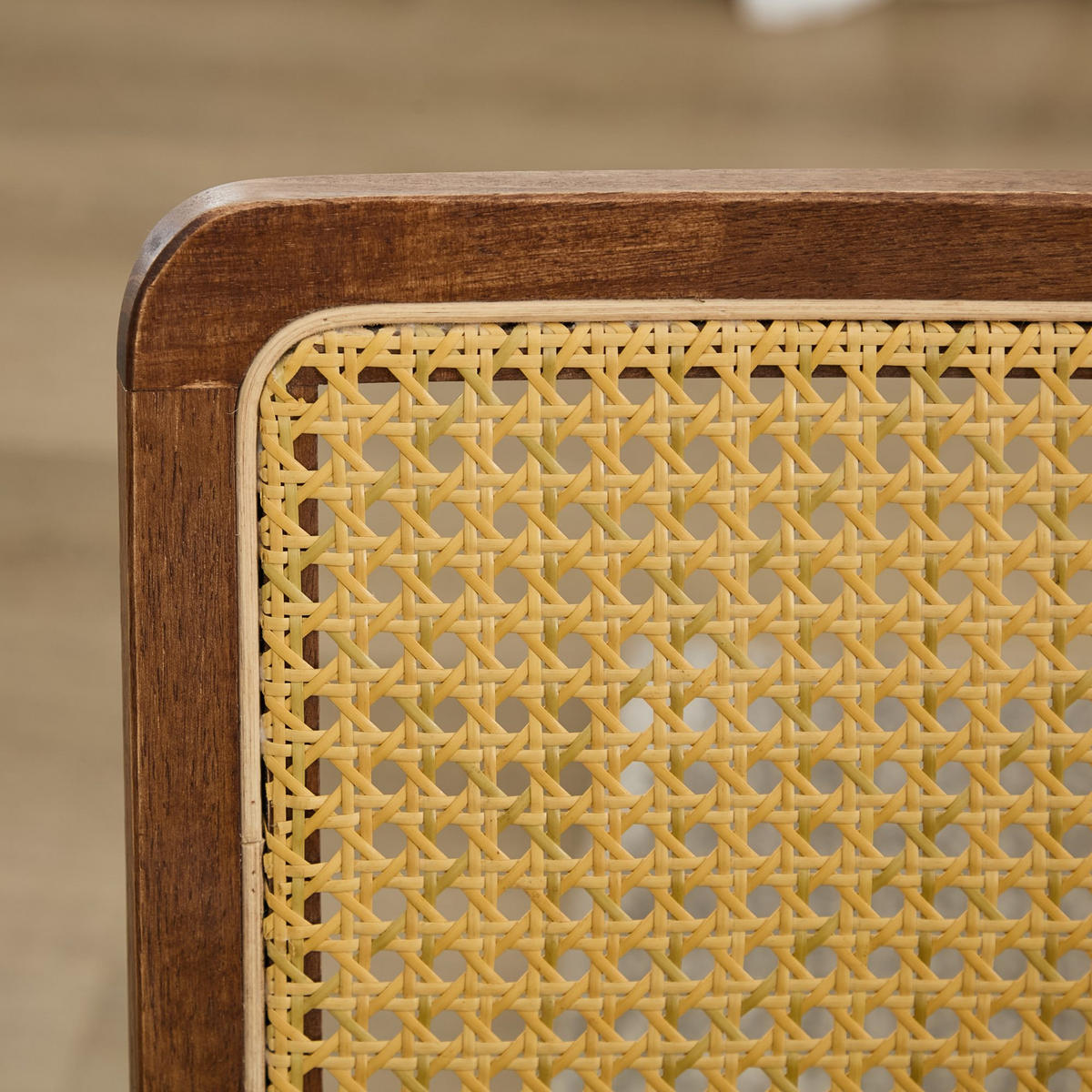 SCHWINGSTUHL DE-36300 2er-Ser mit Rattan-Rückenlehne Kaffee - Braun, Metall (47/81/59cm) - ComfortXL