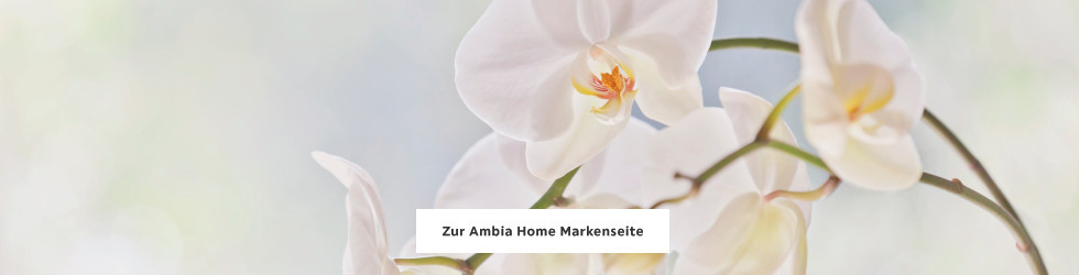 Zur Ambia Home Markenseite