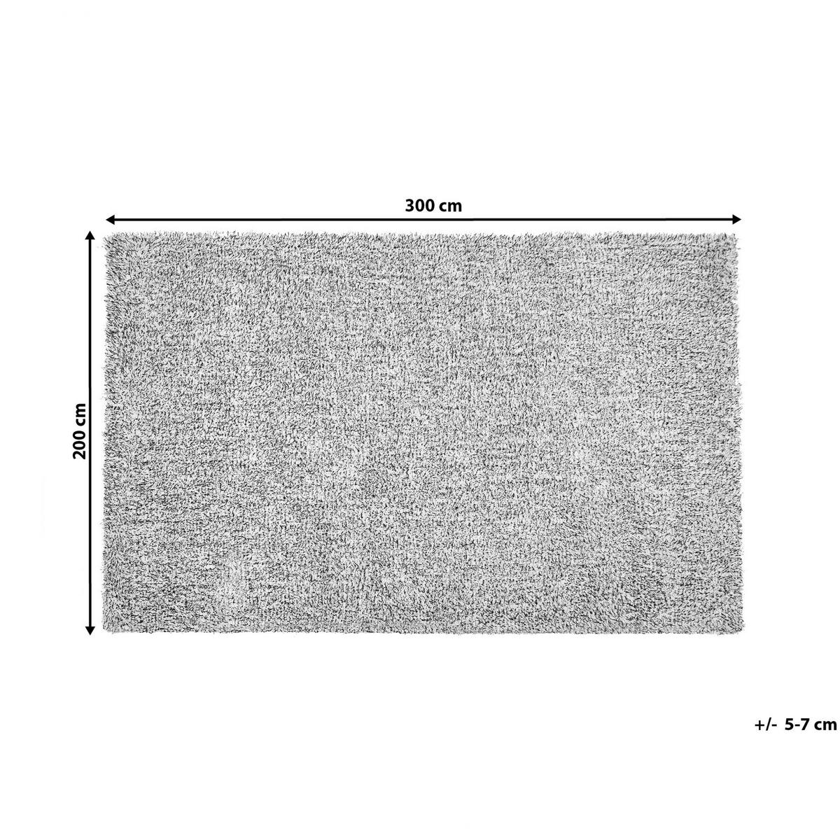 SHAGGY-TEPPICH Demre 300/200 cm - Grau, Kunststoff (200/300cm) - Beliani