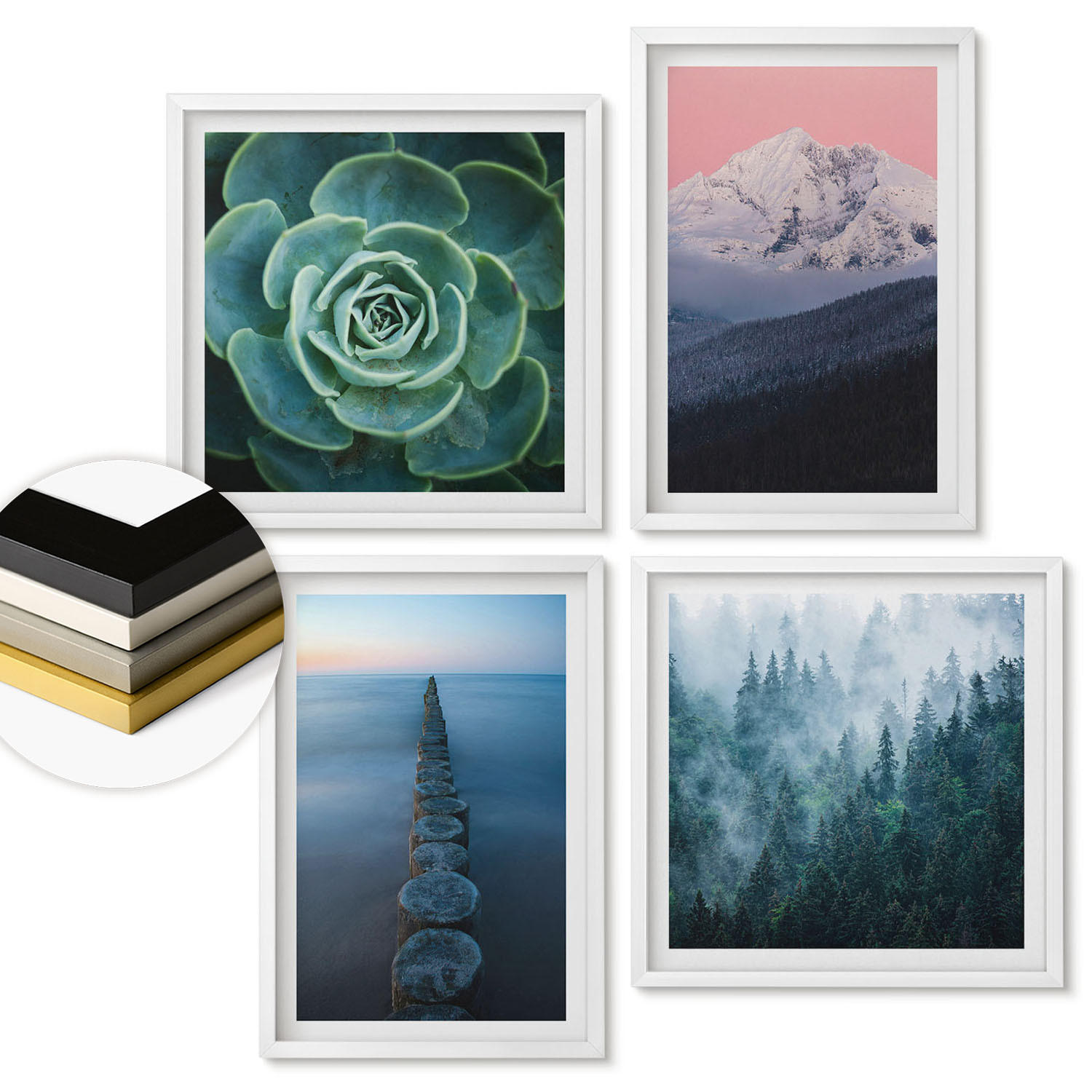 ArtPrintCave Wandbilder Weiß 50x50 cm