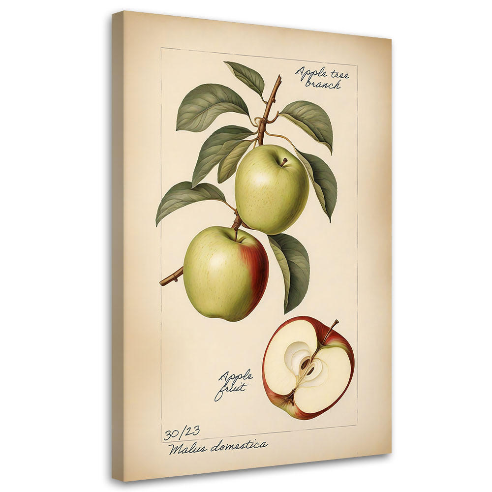 WANDBILD obst weinlese apfel - Beige, Textil (40/60cm) - Feeby