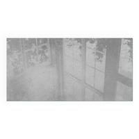 GLASPLATTE für Kamin 140x70 cm - Grau, Glas (140/70/0.4cm) - TULUP