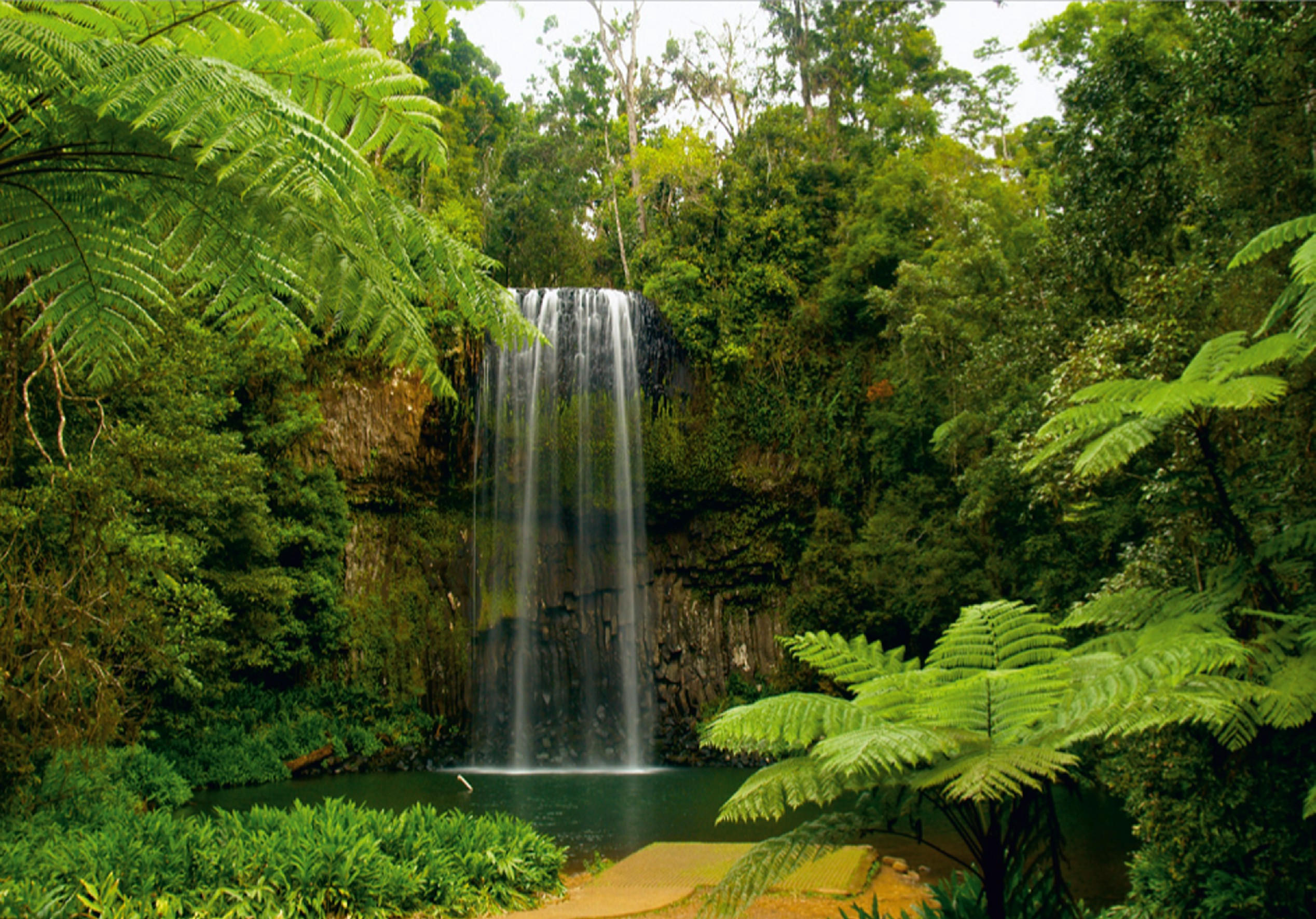 FOTOTAPETE Wasserfall 180 x 127 cm - Grün, Papier (180/127cm) - Sanders & Sanders