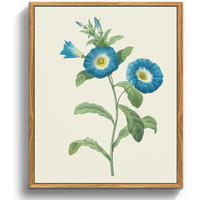 LEINWANDBILD mit Rahmen Vintage Insekten 30 x 40 cm - Blau, Holz (30/0.5cm)
