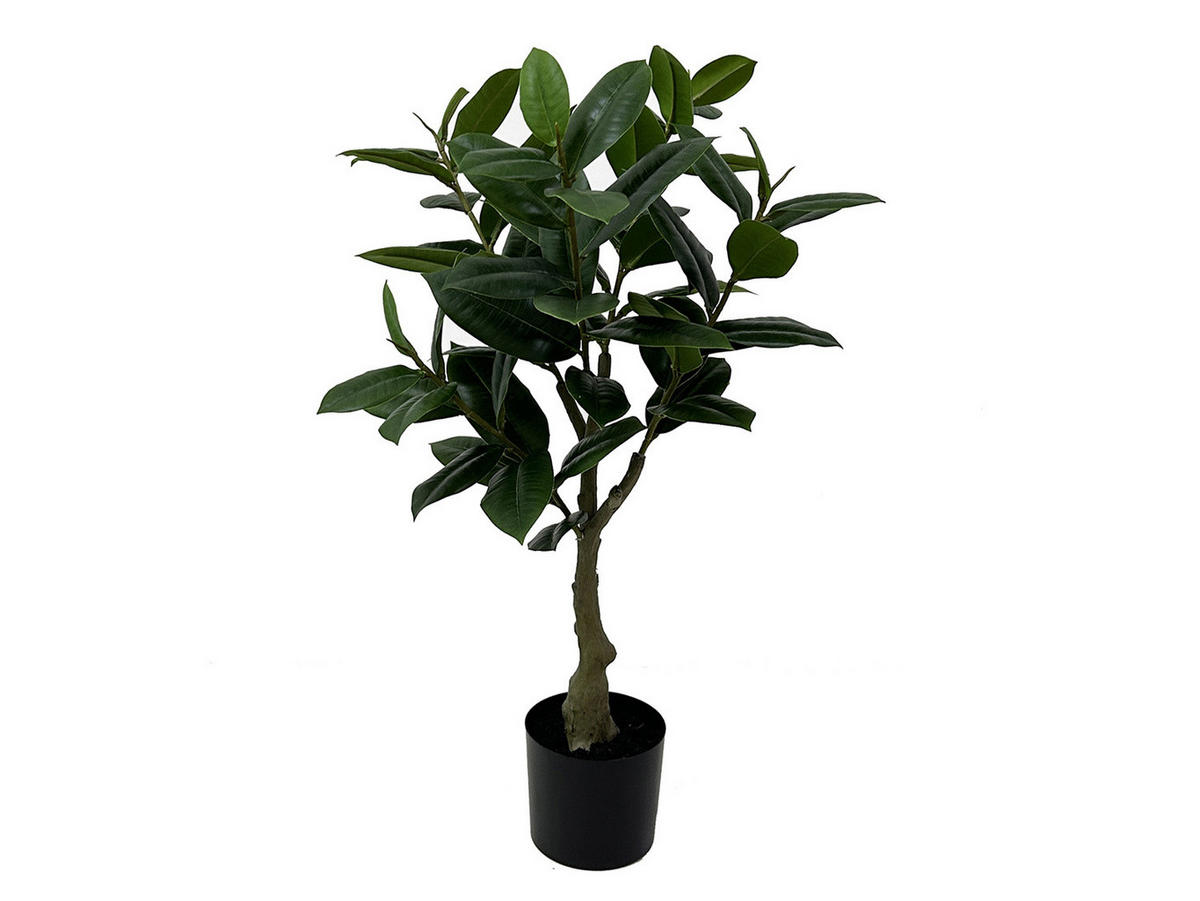 KÜNSTLICHE PFLANZE Gummibaum 69 cm - Grün, Kunststoff (69cm) - Present Time