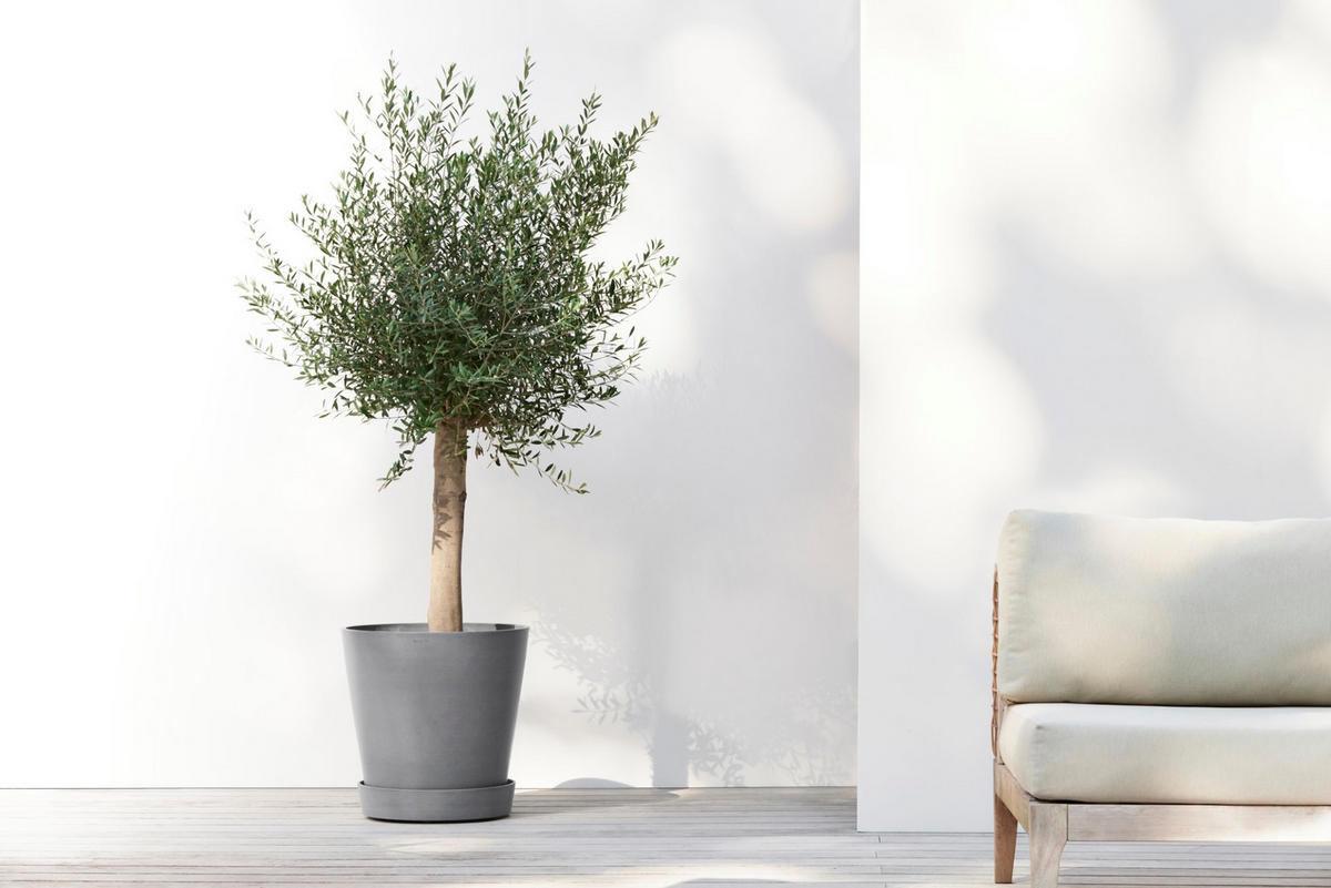 BLUMENTOPFUNTERSETZER mit Rädern 41,6/41,6/9 cm Grau - Grau, Kunststoff (41.6/9cm) - Ecopots