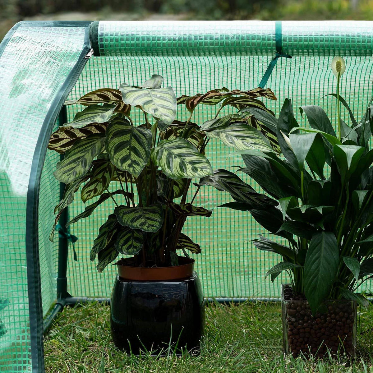 FOLIENGEWÄCHSHAUS, PE Gitterfolie, 130 x 60 x 50 cm - Grün, Textil/Metall (130/50/60cm) - Woltu