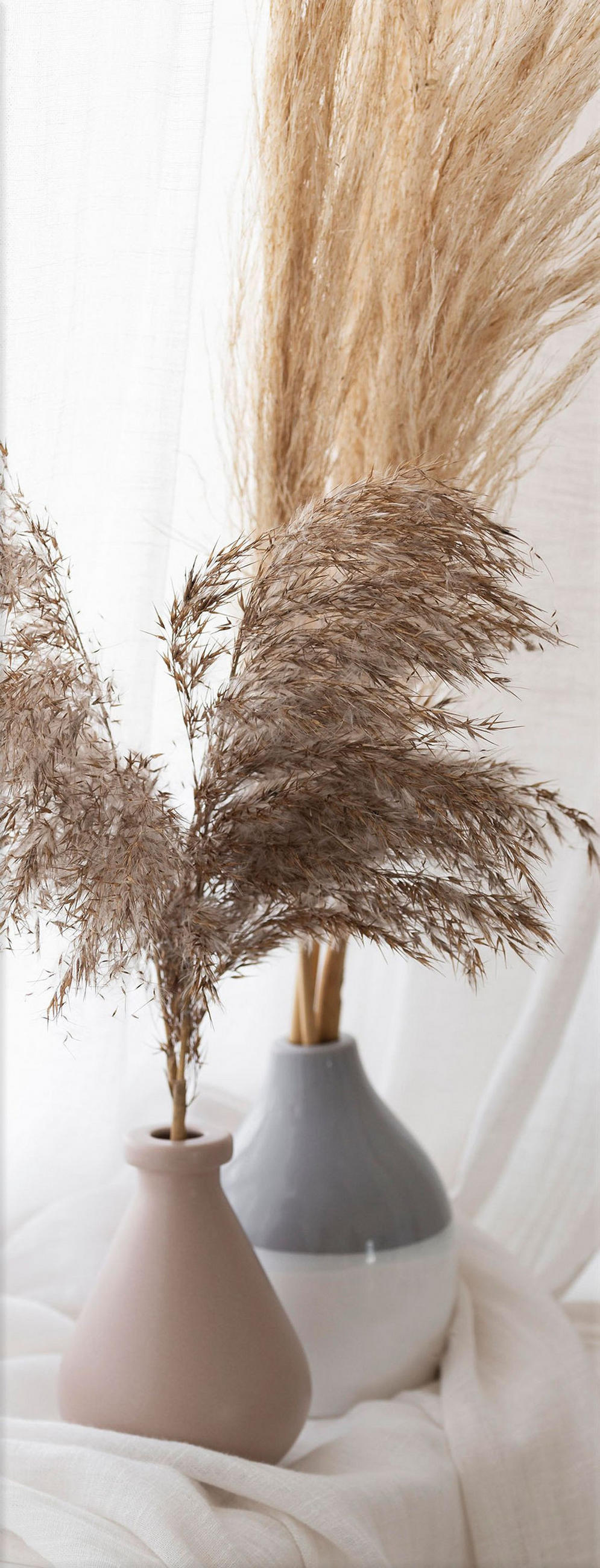 GLASBILD 30x80 cm Stillleben beige weiß - Beige, Glas (30/80cm) - artissimo