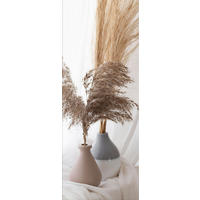 GLASBILD 30x80 cm Stillleben beige weiß - Beige, Glas (30/80cm) - artissimo