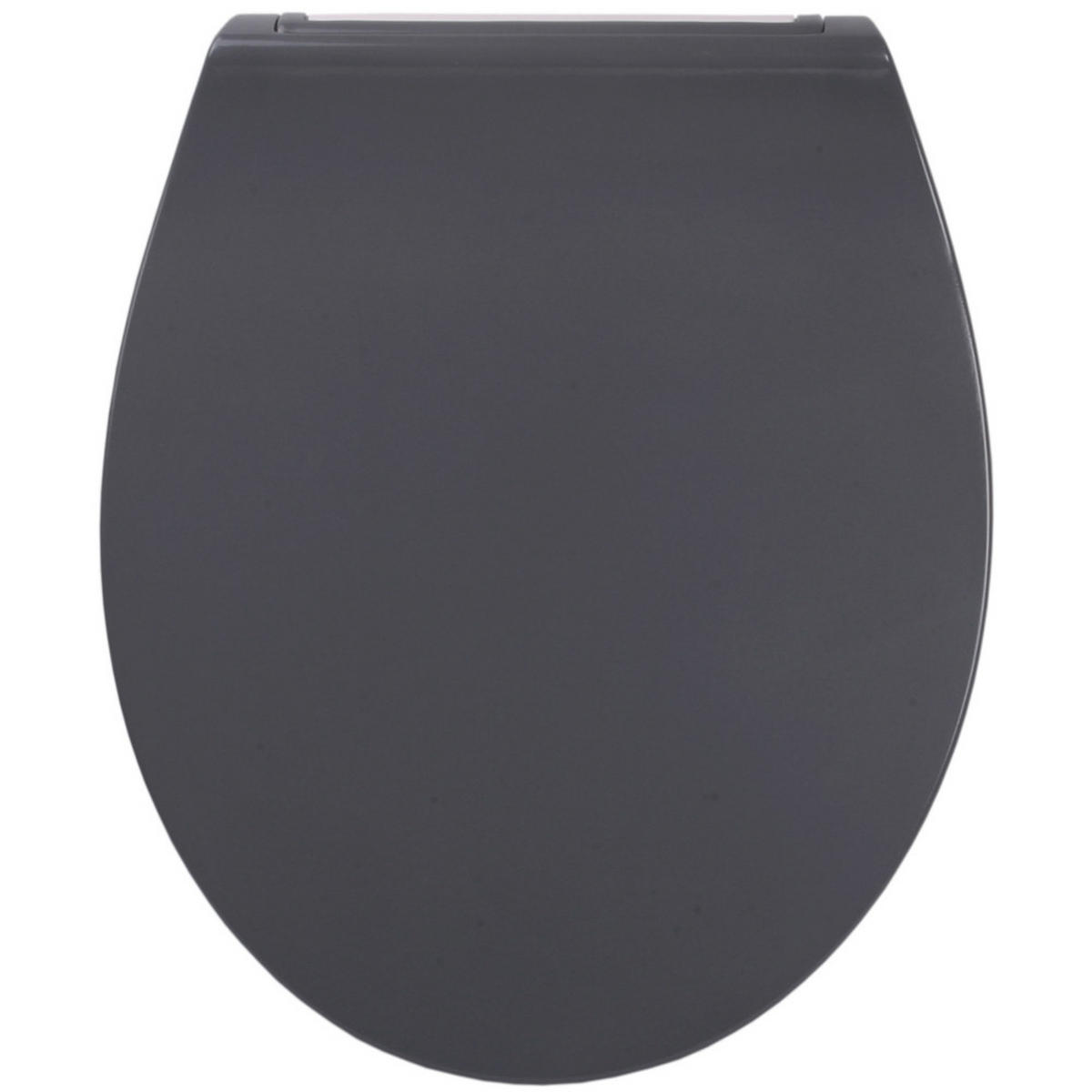 WC-SITZ mit Absenkautomatik Flat Grau - Grau, Holzwerkstoff (38/6/47cm) - Sanilo