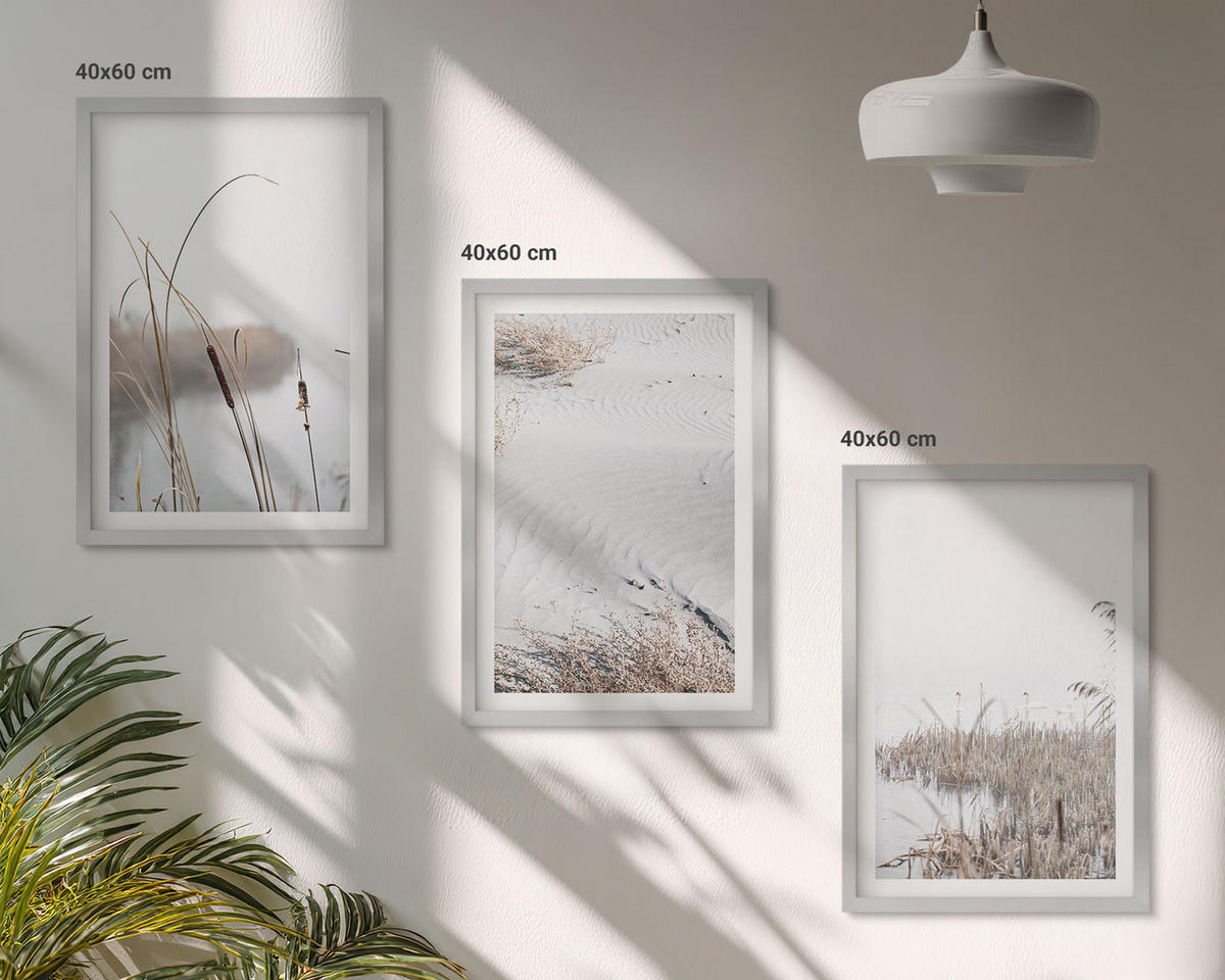 WANDBILDER 3er Set - 40x60 cm Silberner Rahmen - Wasserpflanzen im Sommer - Silberfarben, Kunststoff (40/60cm) - ArtPrintCave