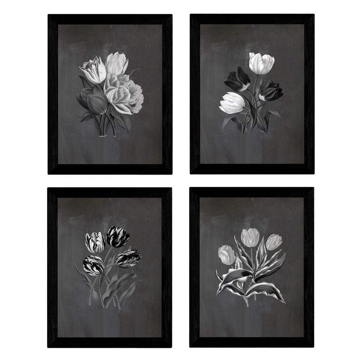 POSTER Set mit 4 Botanische Schwarz Hintergrund Tulpen A3 Rahmenlos - Klar, Papier (29.7/3cm) - Nacnic