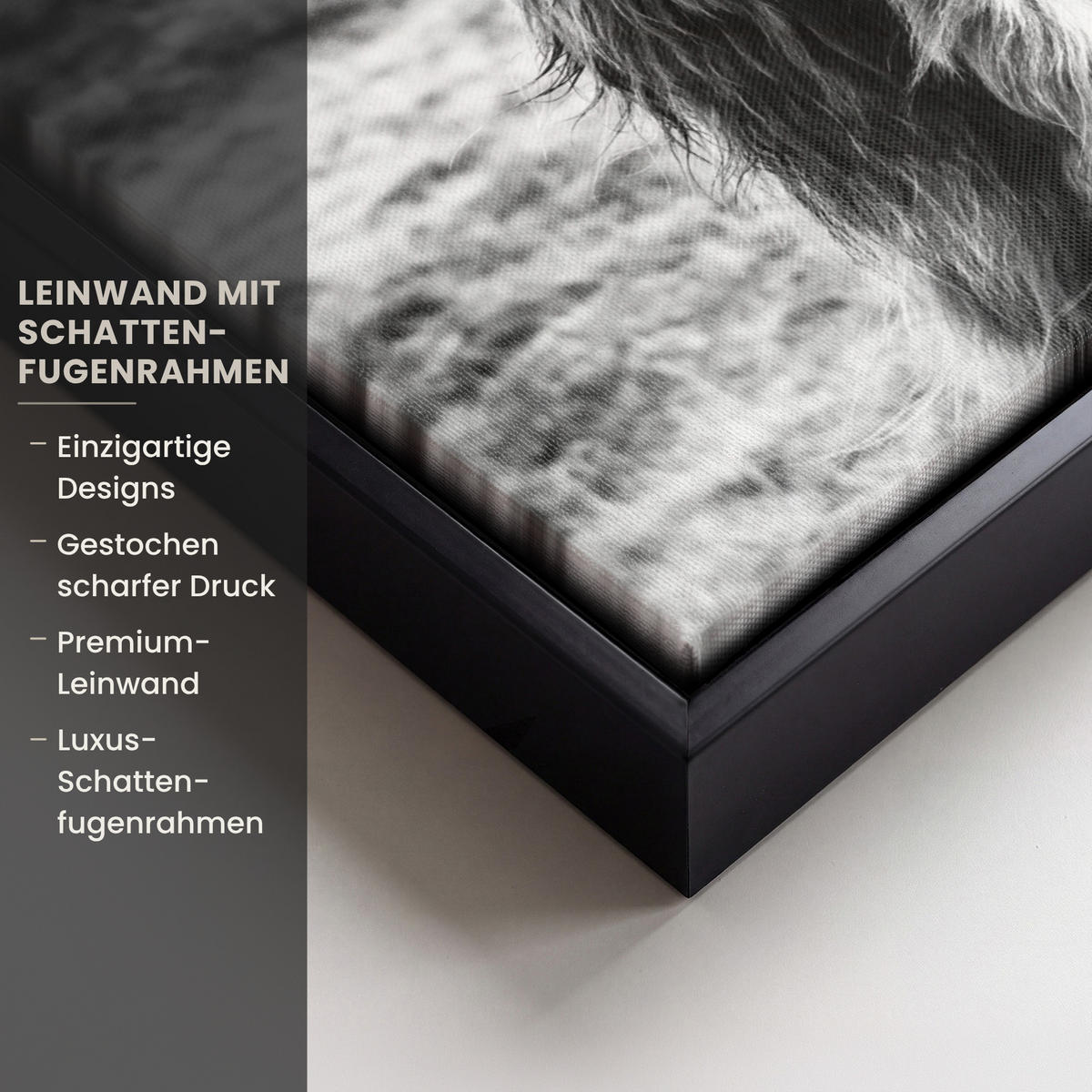 LEINWAND Bilder mit Rahmen - Kuh - Schottischer Hochländer - Schwarz - Weiß - Tier - Natur - Wildtiere - 30x40 - Schwarz, Textil (30/40cm) - MuchoWow